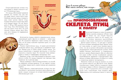 Птицы. Биология. Физиология - фото 10