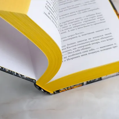 Корона из золотых костей - фото 10