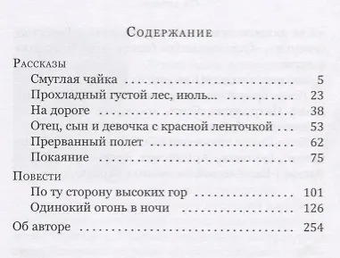 Смуглая чайка - фото 2