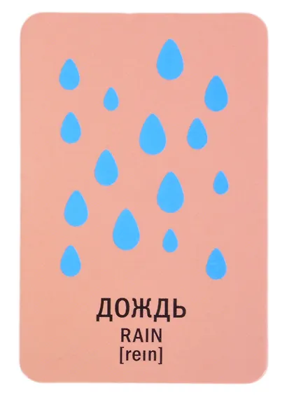 Найди вторую половинку! Всё-всё-всё вокруг нас - фото 3