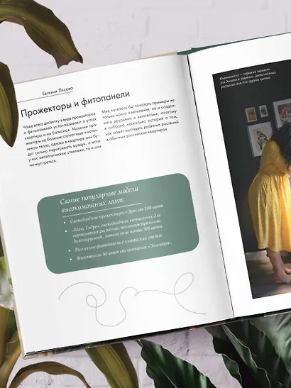 Заклинатель комнатных растений. Секретные лайфхаки от профессионального цветовода - фото 10
