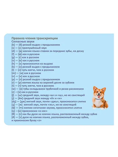 Тренажер - перевертыш. Мои первые английские слова - фото 7