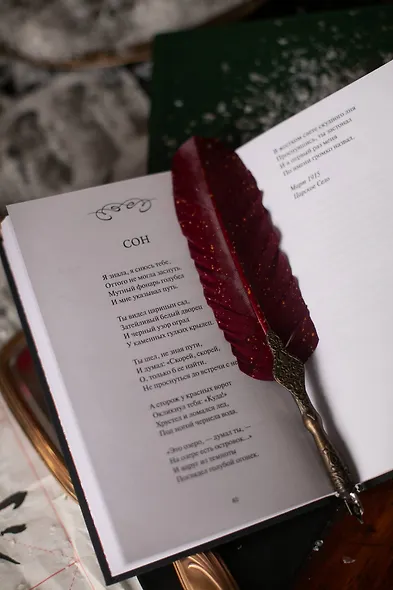 Анна Ахматова: Перчатка с левой руки. Избранное - фото 10