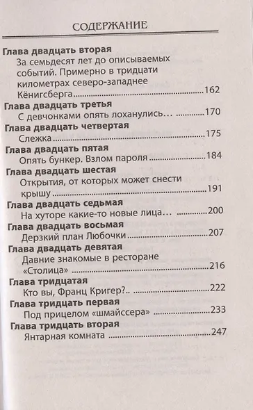 Янтарные каникулы. Приключенческая повесть - фото 4