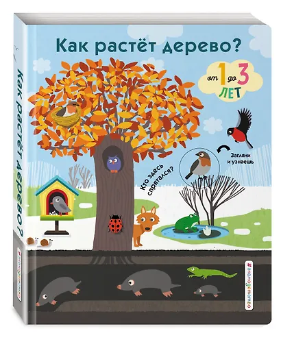 Как растет дерево? - фото 3