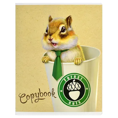 Тетрадь в клетку Феникс+, "Модная белка", 48 листов, в ассортименте - фото 1