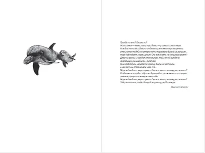 Анасейма - фото 3