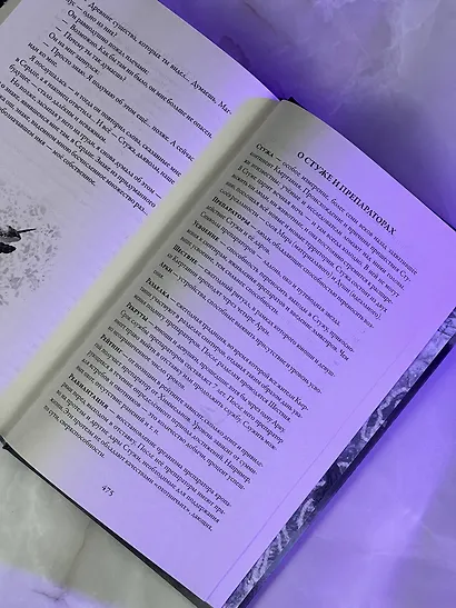 Препараторы. Сердце Стужи - фото 9