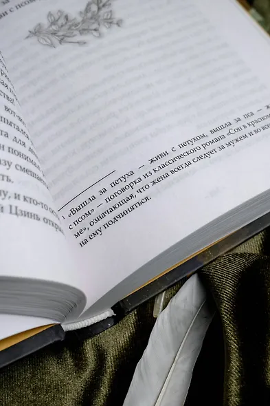 Светлый пепел луны. Книга 2. Новелла - фото 12