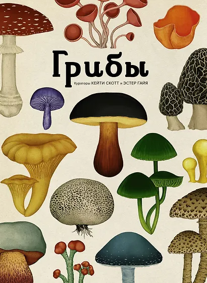 Грибы - фото 1