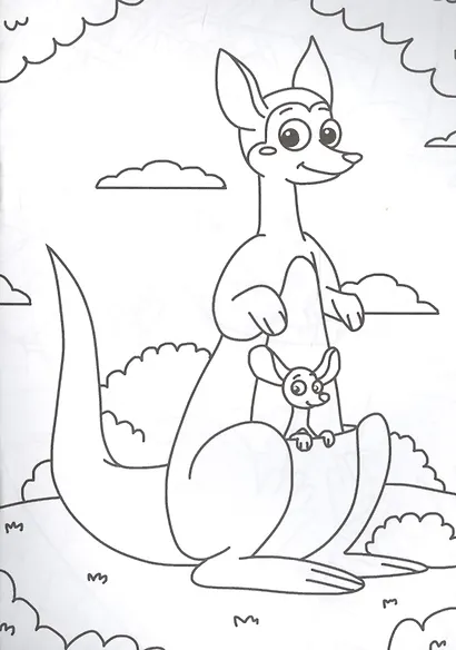 РАСКРАСКА А5 эконом. ЖИВОТНЫЕ - фото 5