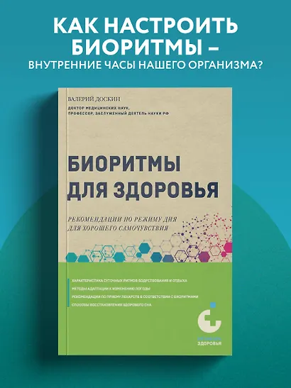 Биоритмы для здоровья. Рекомендации по режиму для хорошего самочувствия - фото 4