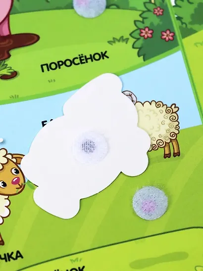 Липучки. Кто моя мама? - фото 4