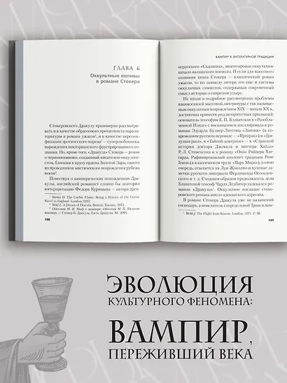 Жизнь и смерть графа Дракулы. Подлинная биография одного культурного героя - фото 6