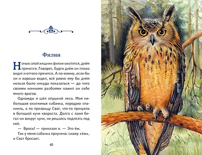 Рассказы о зверятах - фото 11