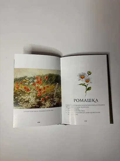 Цветы в искусстве. Воспевание красоты - фото 10