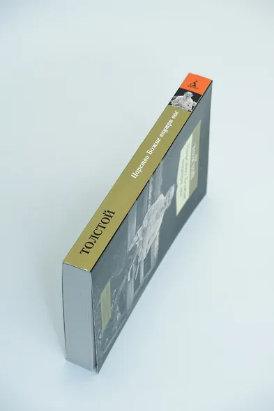 Царство Божие внутри вас - фото 10