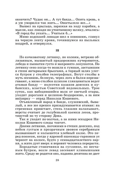Донские рассказы. Судьба человека - фото 4