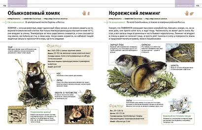 Животные. Все обитатели нашей планеты - фото 7