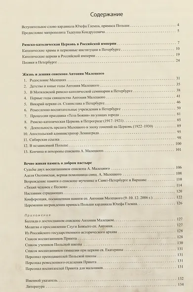 Несгибаемый пастырь в Петербурге. Слуга Божий епископ Антоний Малецкий (1861-1935) - фото 2