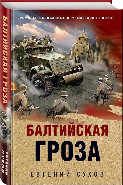 Балтийская гроза - фото 3
