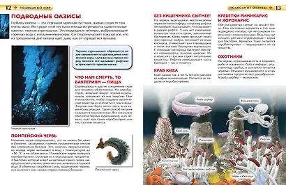 Подводный мир. Детская энциклопедия - фото 4