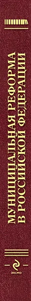 Муниципальная реформа в Российской Федерации: правовое и экономическое исследование - фото 4