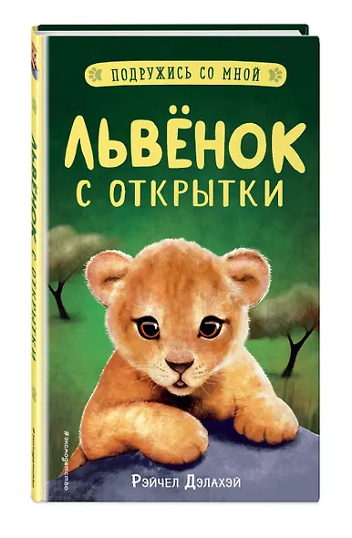 Львенок с открытки - фото 3