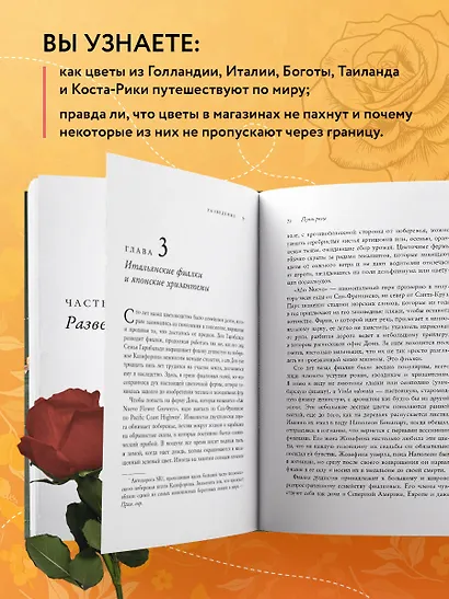 Путь розы. Внутри цветочного бизнеса: как выводят и продают цветы, которые не сумела создать природа - фото 5