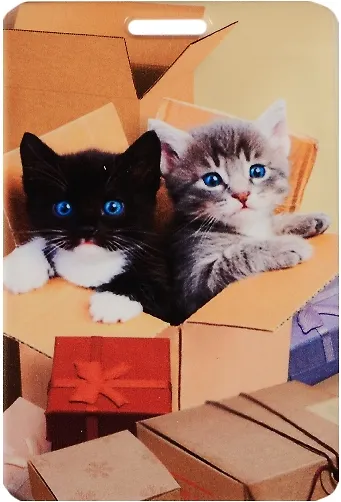 Чехол для карточек Котята в коробке - фото 1