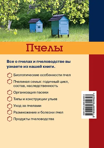Пчелы - фото 2