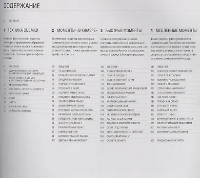 Лови момент! Как найти "изюминку" в любом сюжете и превратить его в захватывающую фотографию, выбирая правильный момент для съемки - фото 6