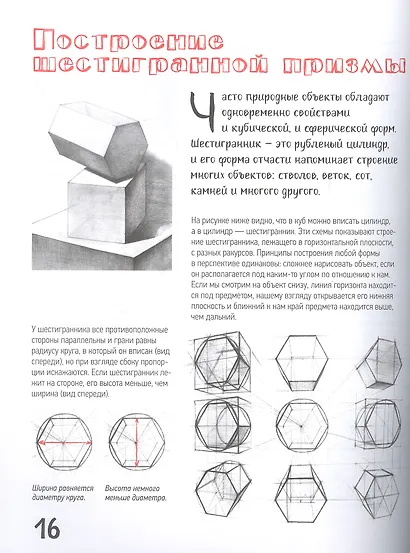 Школа рисования. Форма, объем, пропорции - фото 6