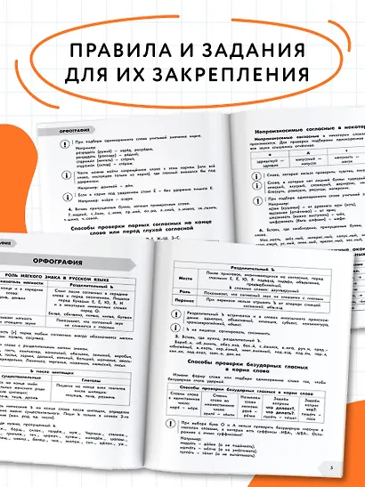 Русский в схемах и таблицах: Все темы школьного курса. Тесты с ответами: 4 класс - фото 6