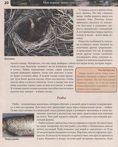 Моя первая энциклопедия - фото 4