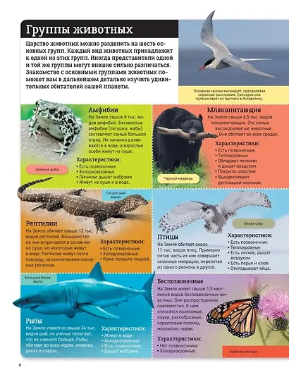 Животные мира. Детский атлас - фото 3