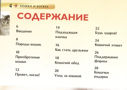 Кошки и котята. Детская энциклопедия - фото 2