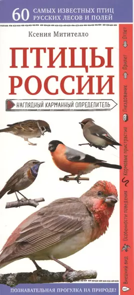 Птицы России. Наглядный карманный определитель - фото 1