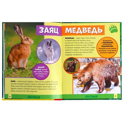 В мире животных. Фотоэнциклопедия для детей - фото 3