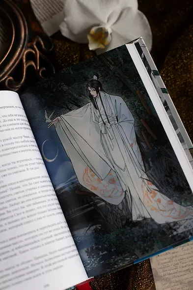 Двенадцать хитростей Ван Ли - фото 13