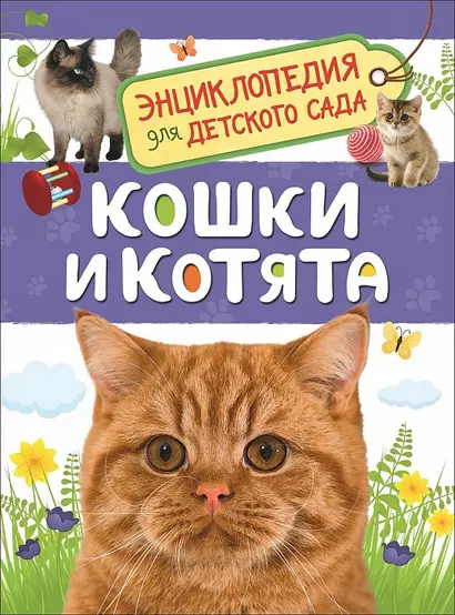 Кошки и котята. Энциклопедия для детского сада - фото 1