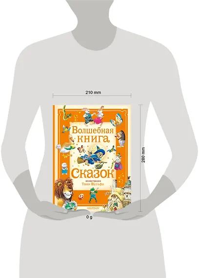 Волшебная книга сказок. Илл. Тони Вульфа - фото 14