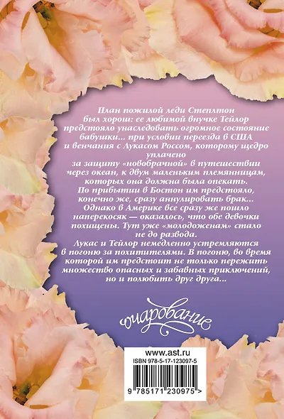 Мужчина мечты - фото 2