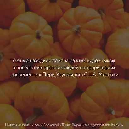 Тыква. Выращиваем, ухаживаем и едим - фото 7