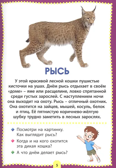 Животные мира. Фотокнига для самых маленьких - фото 5