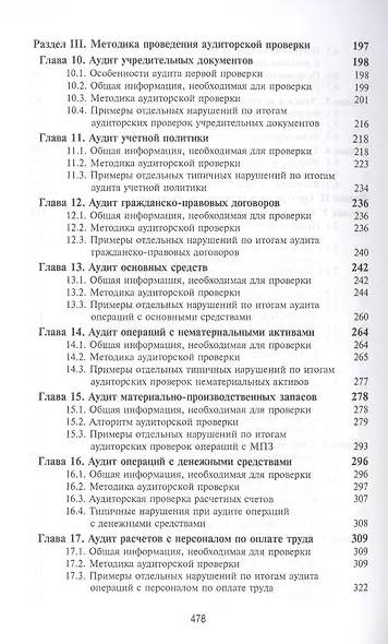 Аудит. Теория, организация, методика и практика. Учебник - фото 4