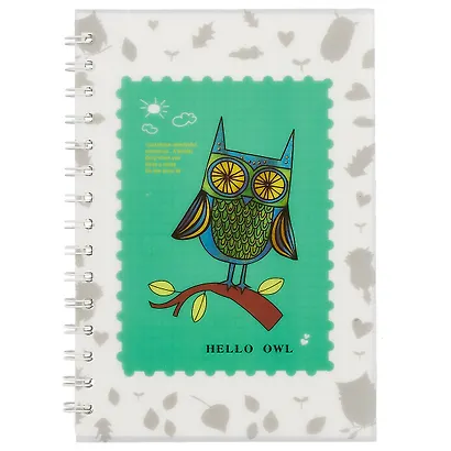Тетрадь в клетку Hai Bin, Hello owl, 80 листов, в ассортименте - фото 1