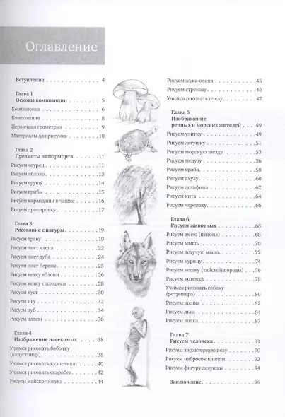 Простые уроки рисования для начинающих - фото 2
