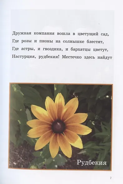 Цветы - фото 7