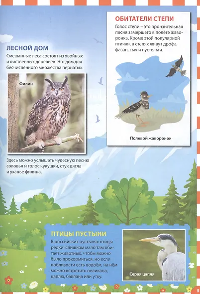 Птицы России. Популярная детская энциклопедия - фото 5